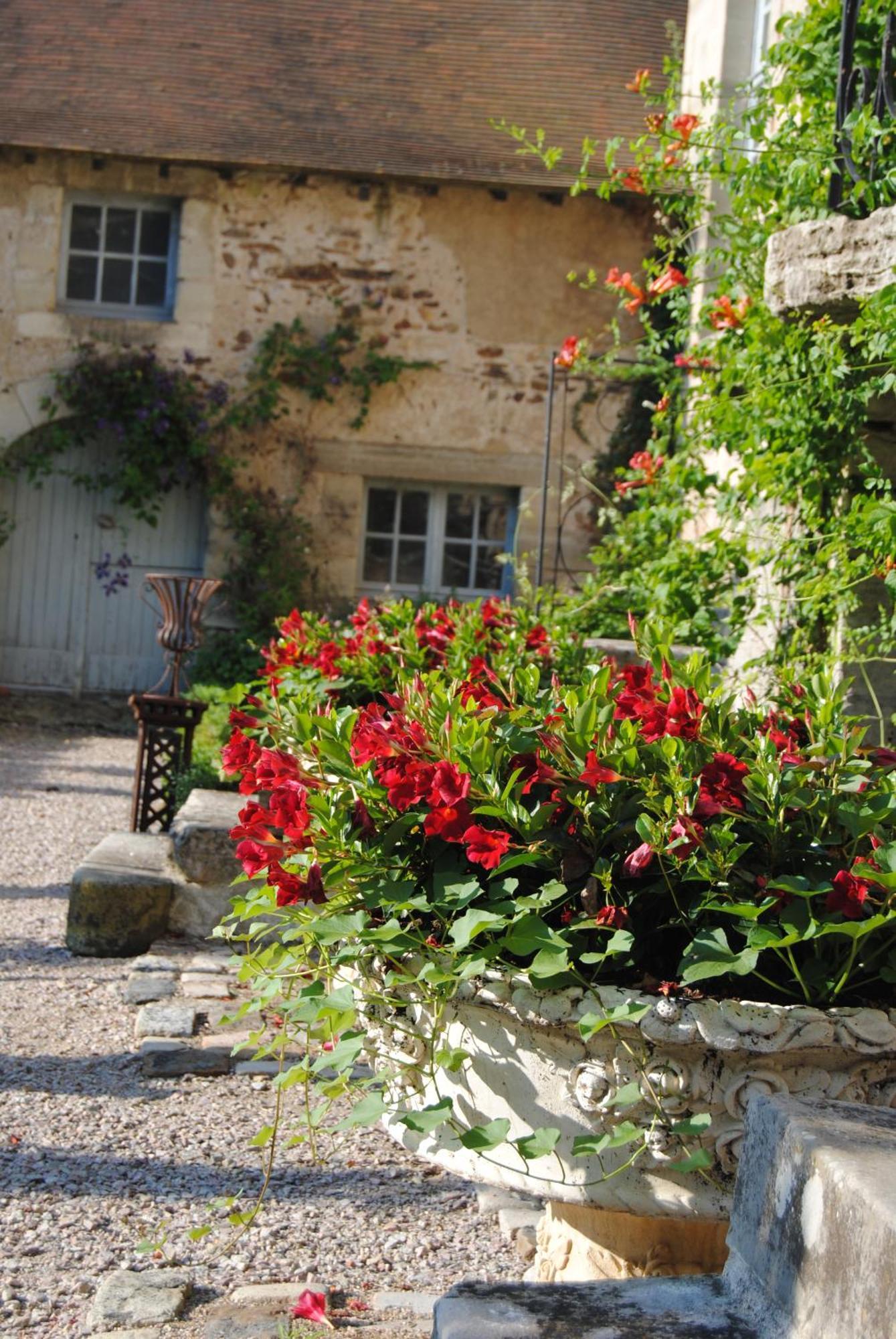 Chateau De Montchoisy Chezelle エクステリア 写真